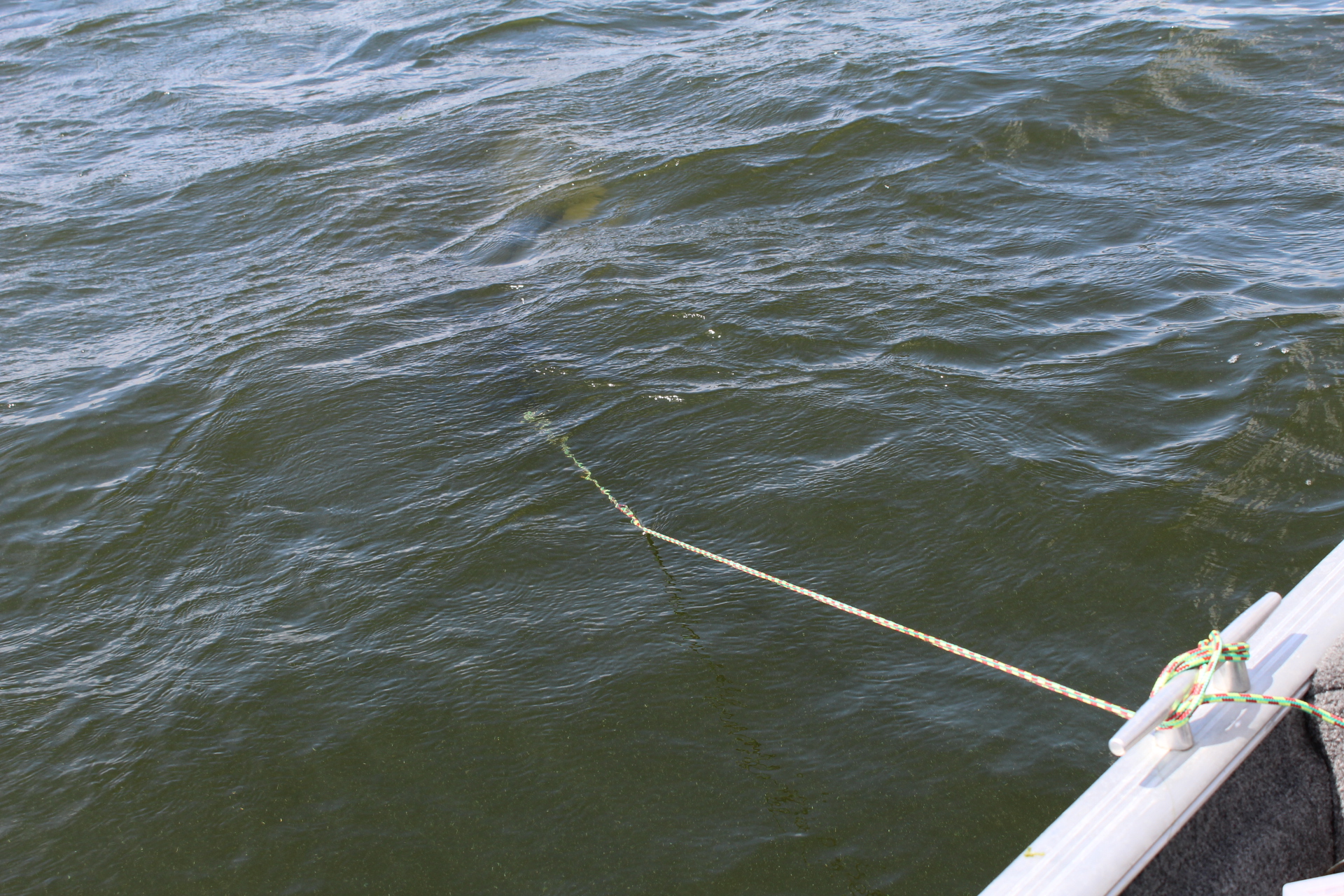 Driftsack – Driftfischen vom Boot