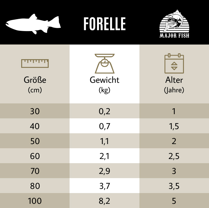 Forelle Größentabelle