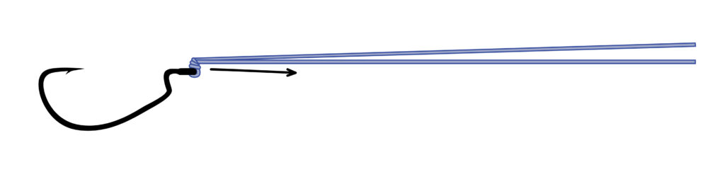 palomar zuziehen
